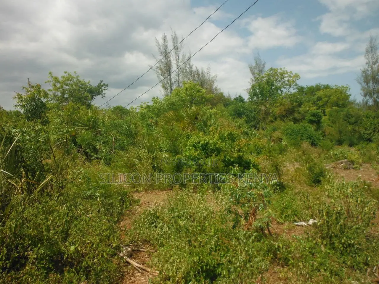 1 Acre for Sale in Msambweni
