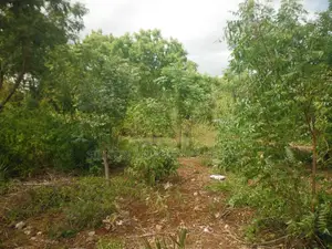1 Acre for Sale in Msambweni