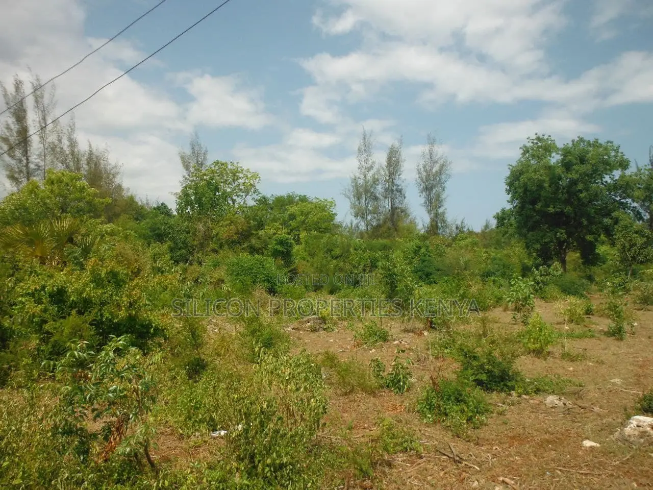 1 Acre for Sale in Msambweni