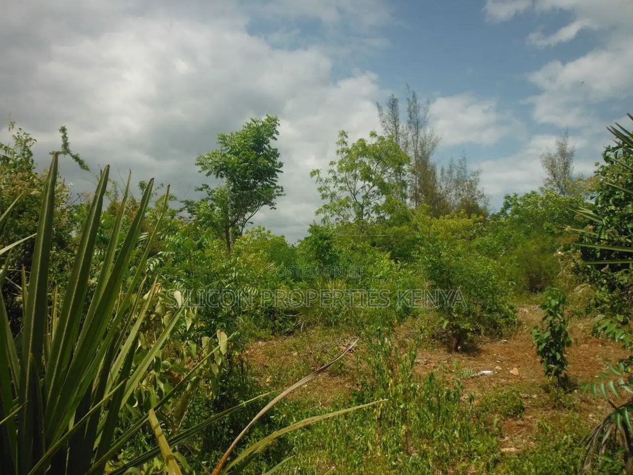 1 Acre for Sale in Msambweni