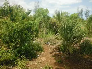 1 Acre for Sale in Msambweni