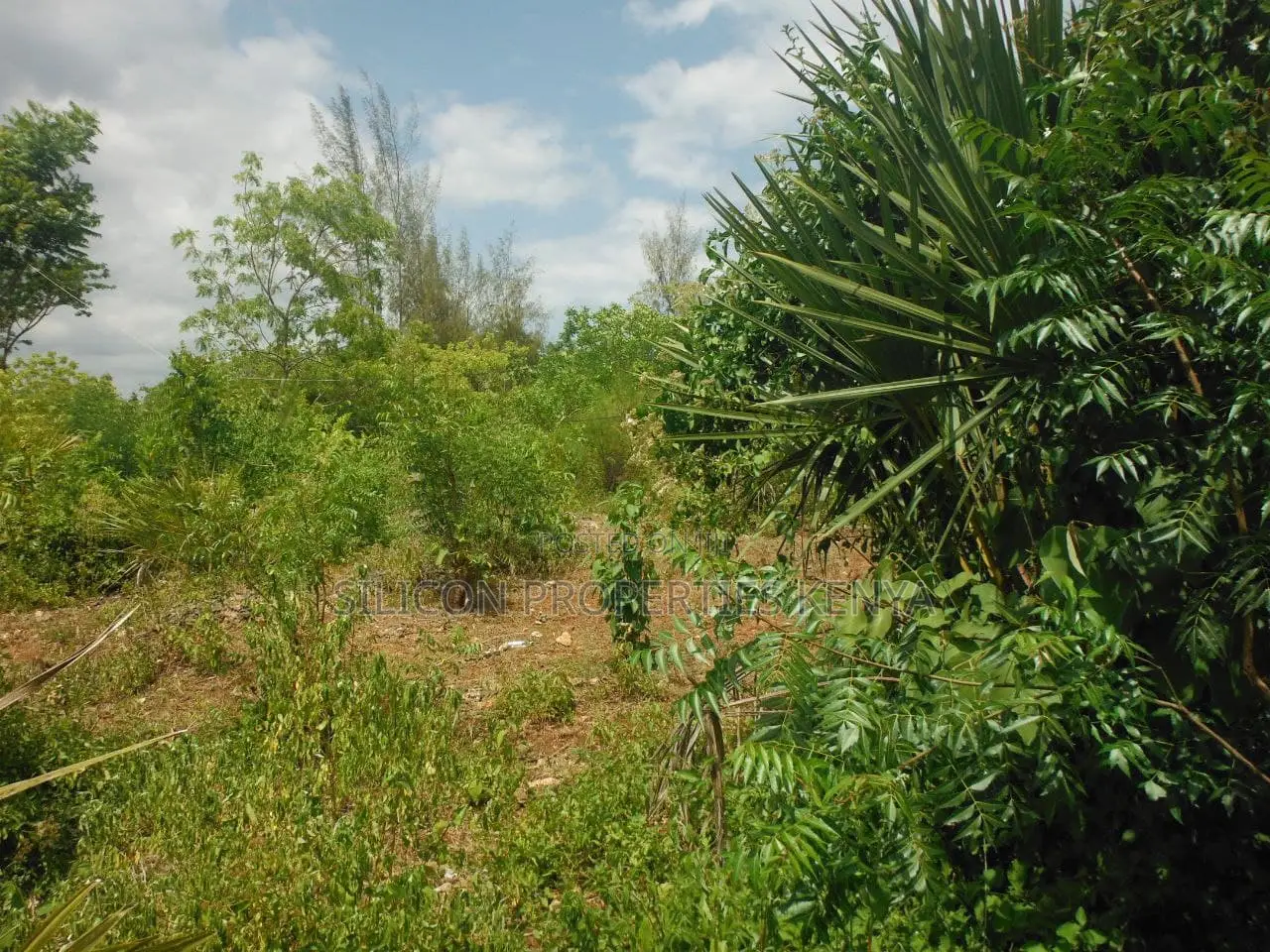 1 Acre for Sale in Msambweni