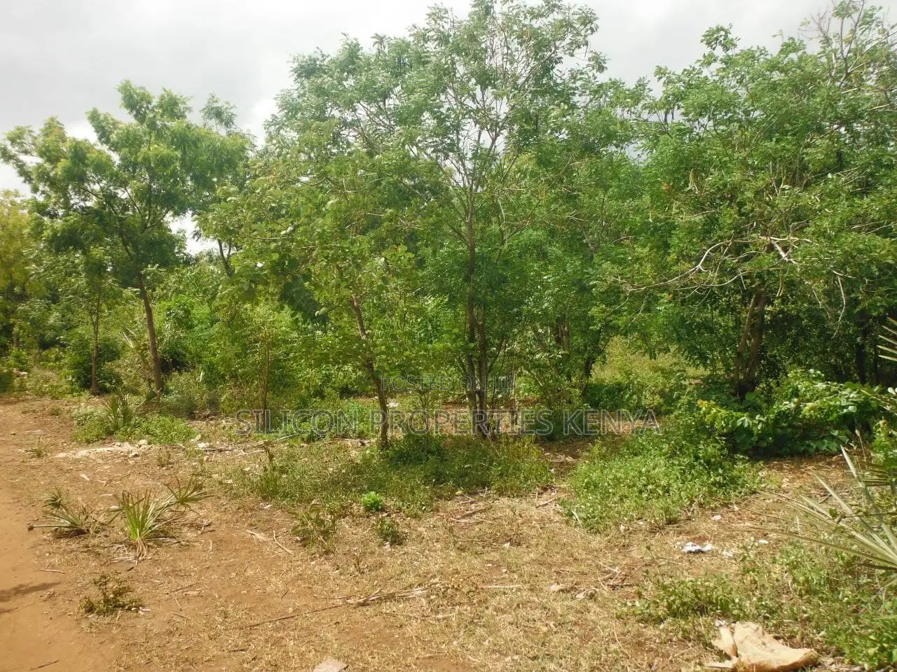 1 Acre for Sale in Msambweni