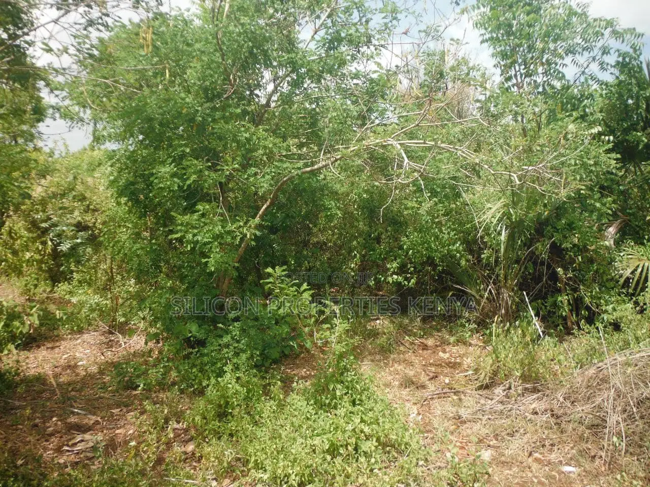 1 Acre for Sale in Msambweni