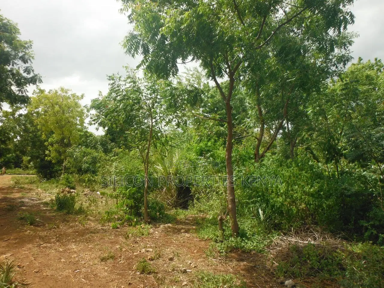 1 Acre for Sale in Msambweni