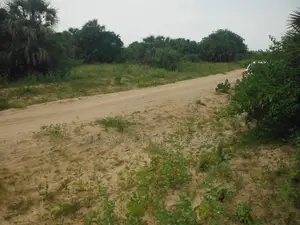 10 Acres for Sale in Ramisi