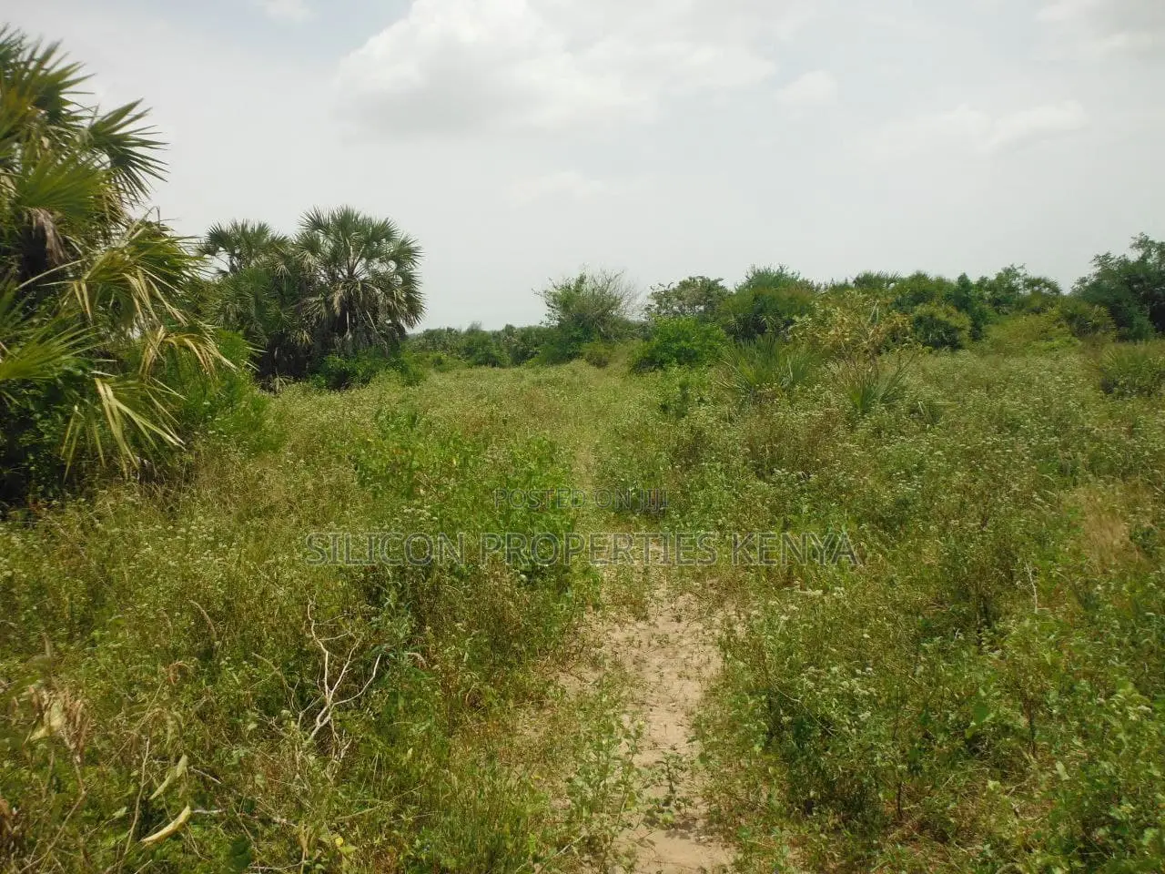 10 Acres for Sale in Ramisi
