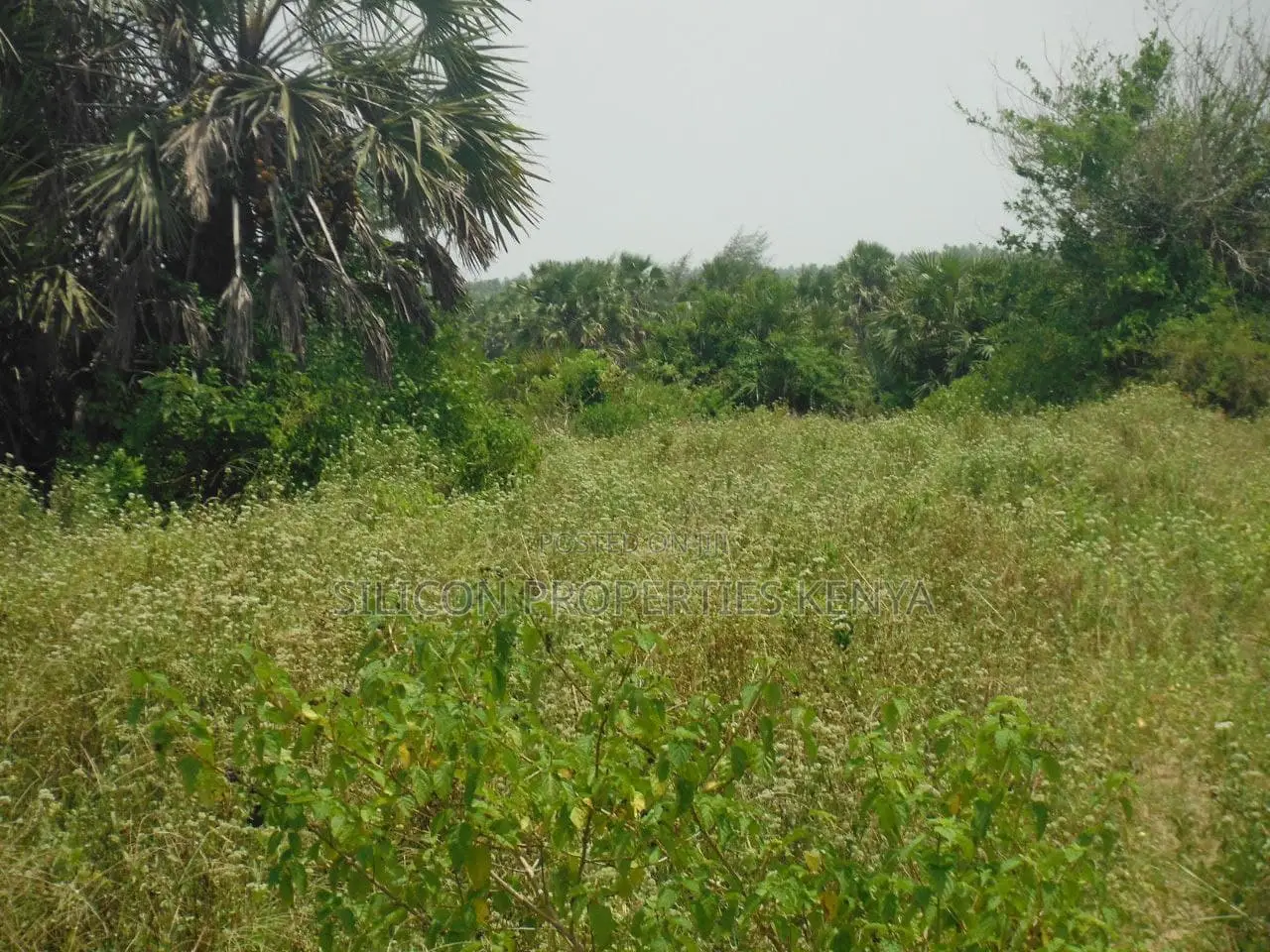 10 Acres for Sale in Ramisi