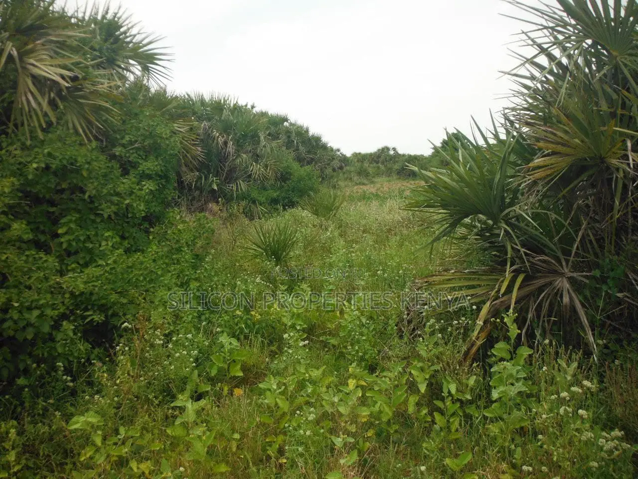 10 Acres for Sale in Ramisi