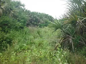 10 Acres for Sale in Ramisi
