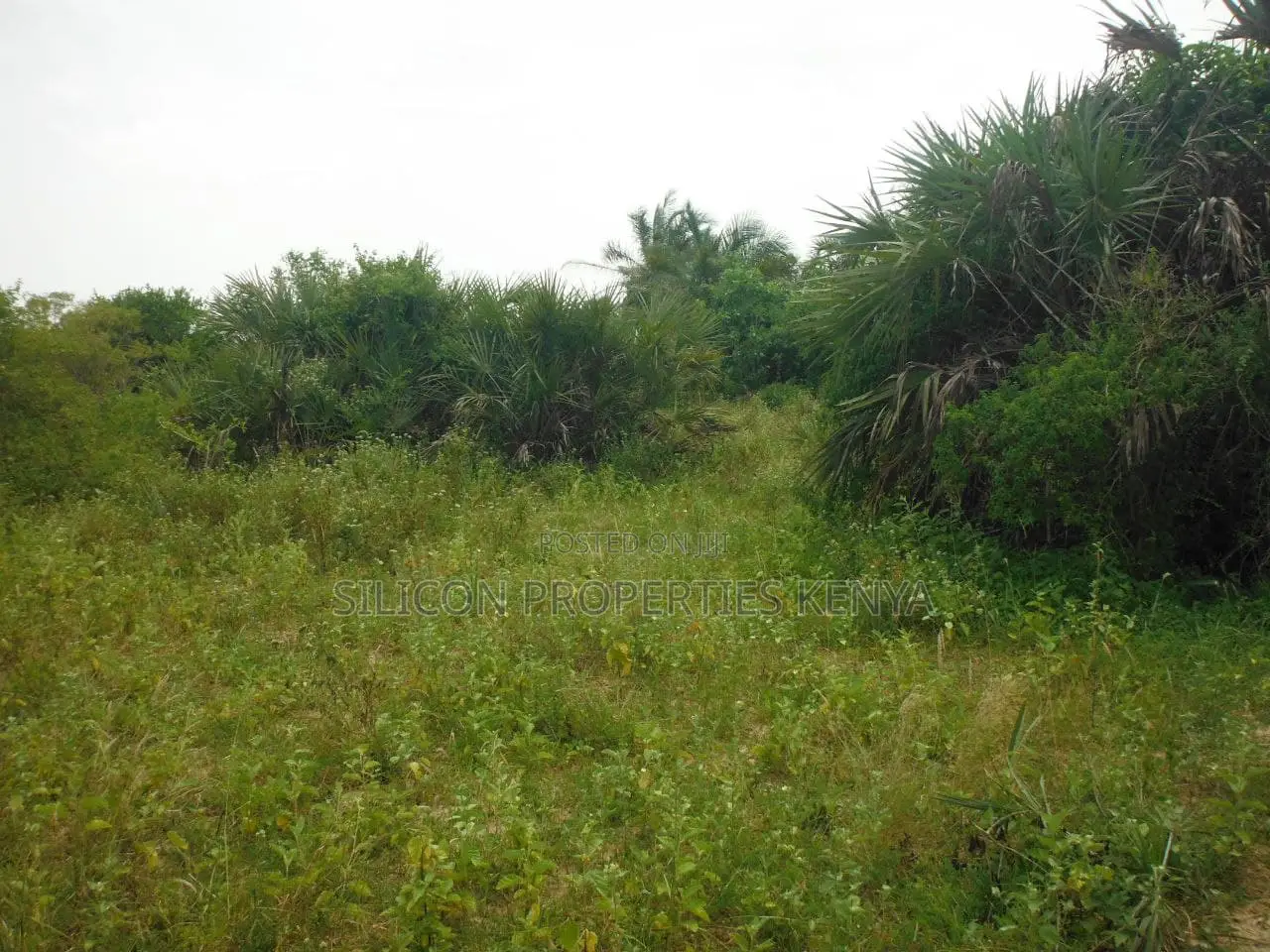 10 Acres for Sale in Ramisi
