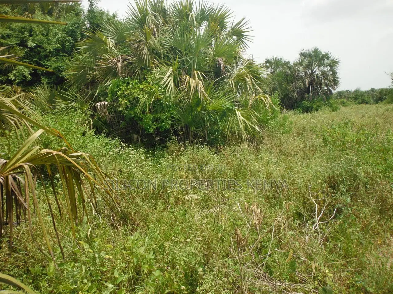 10 Acres for Sale in Ramisi