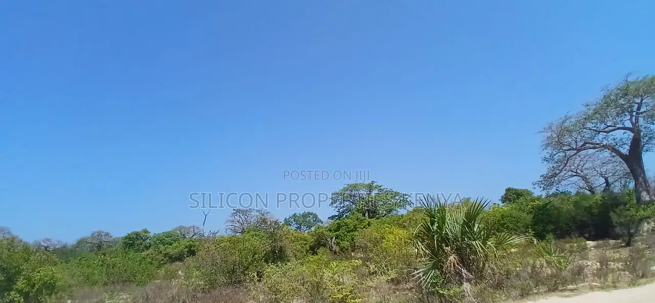 8.5-Acre Ocean View Plot for Sale in Msambweni (Funzi)