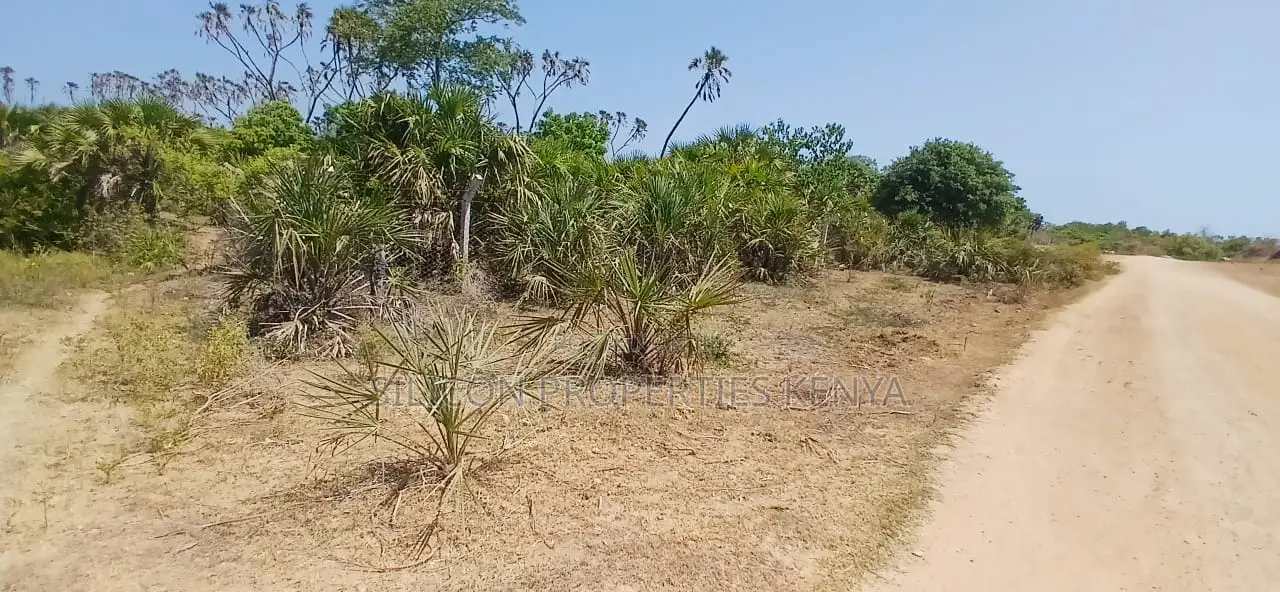 8.5-Acre Ocean View Plot for Sale in Msambweni (Funzi)