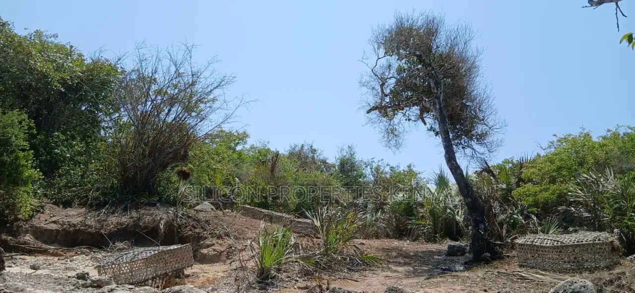 8.5-Acre Ocean View Plot for Sale in Msambweni (Funzi)