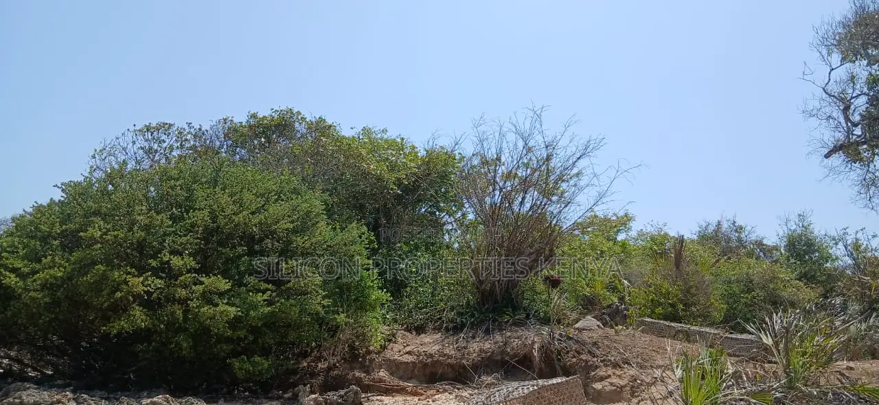 8.5-Acre Ocean View Plot for Sale in Msambweni (Funzi)