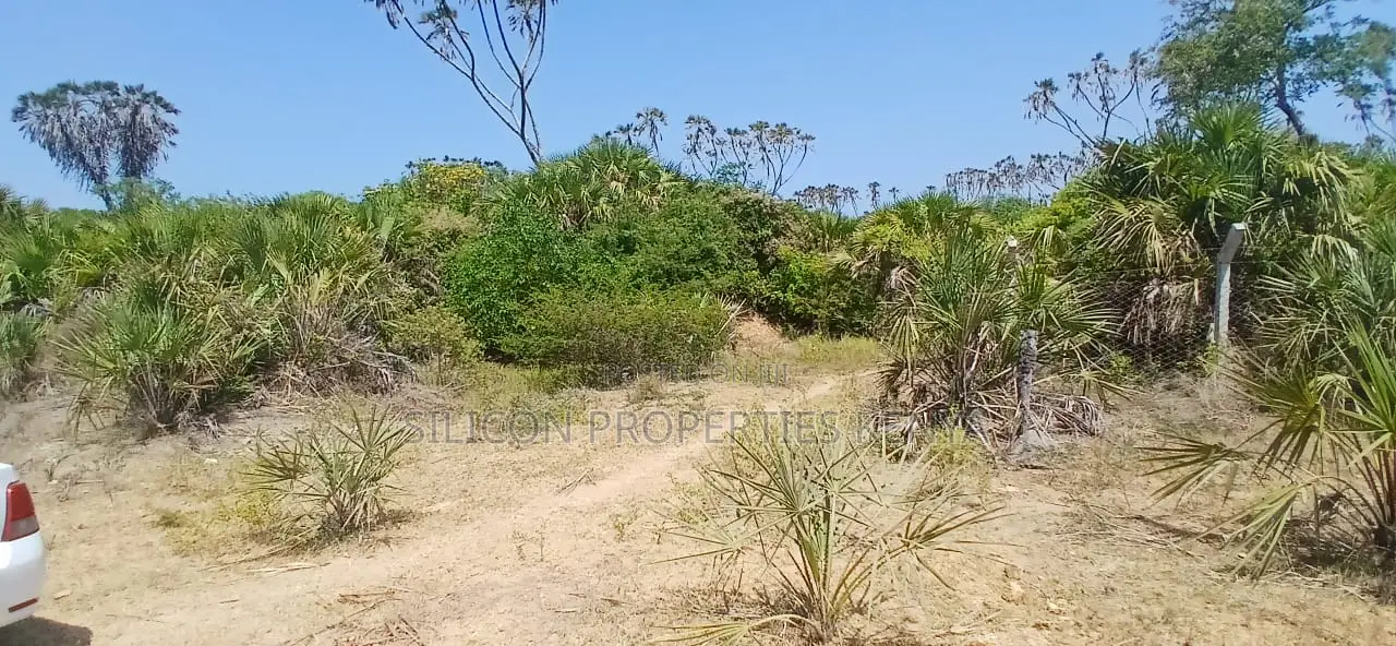 8.5-Acre Ocean View Plot for Sale in Msambweni (Funzi)