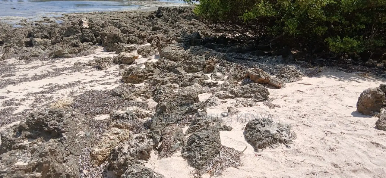 8.5-Acre Ocean View Plot for Sale in Msambweni (Funzi)