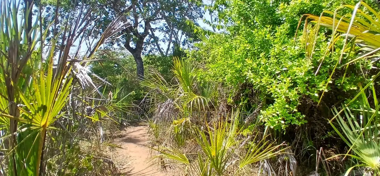 8.5-Acre Ocean View Plot for Sale in Msambweni (Funzi)