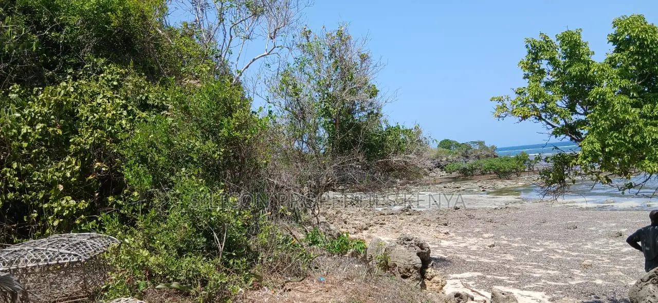 8.5-Acre Ocean View Plot for Sale in Msambweni (Funzi)