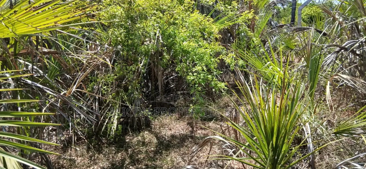 8.5-Acre Ocean View Plot for Sale in Msambweni (Funzi)