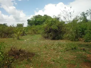 12 Acres for Sale in Msambweni