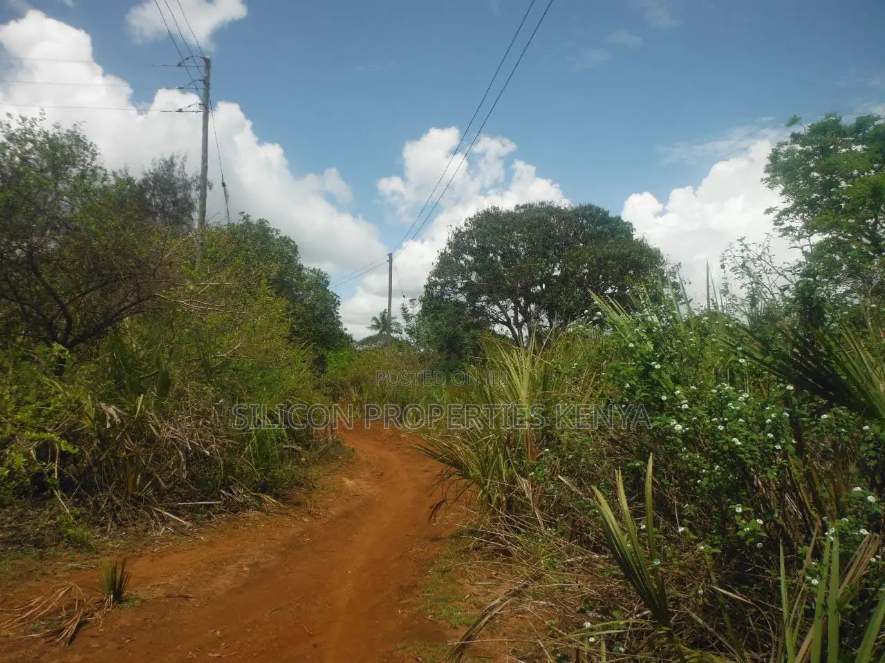 12 Acres for Sale in Msambweni