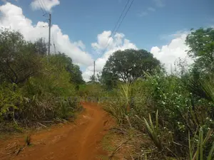12 Acres for Sale in Msambweni