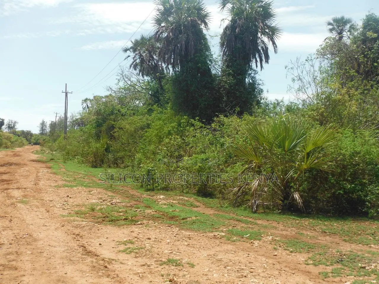 12 Acres for Sale in Msambweni