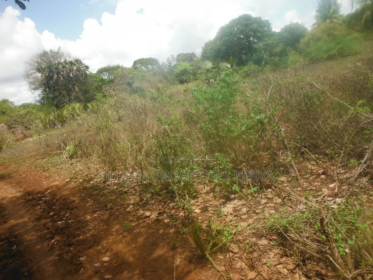 12 Acres for Sale in Msambweni