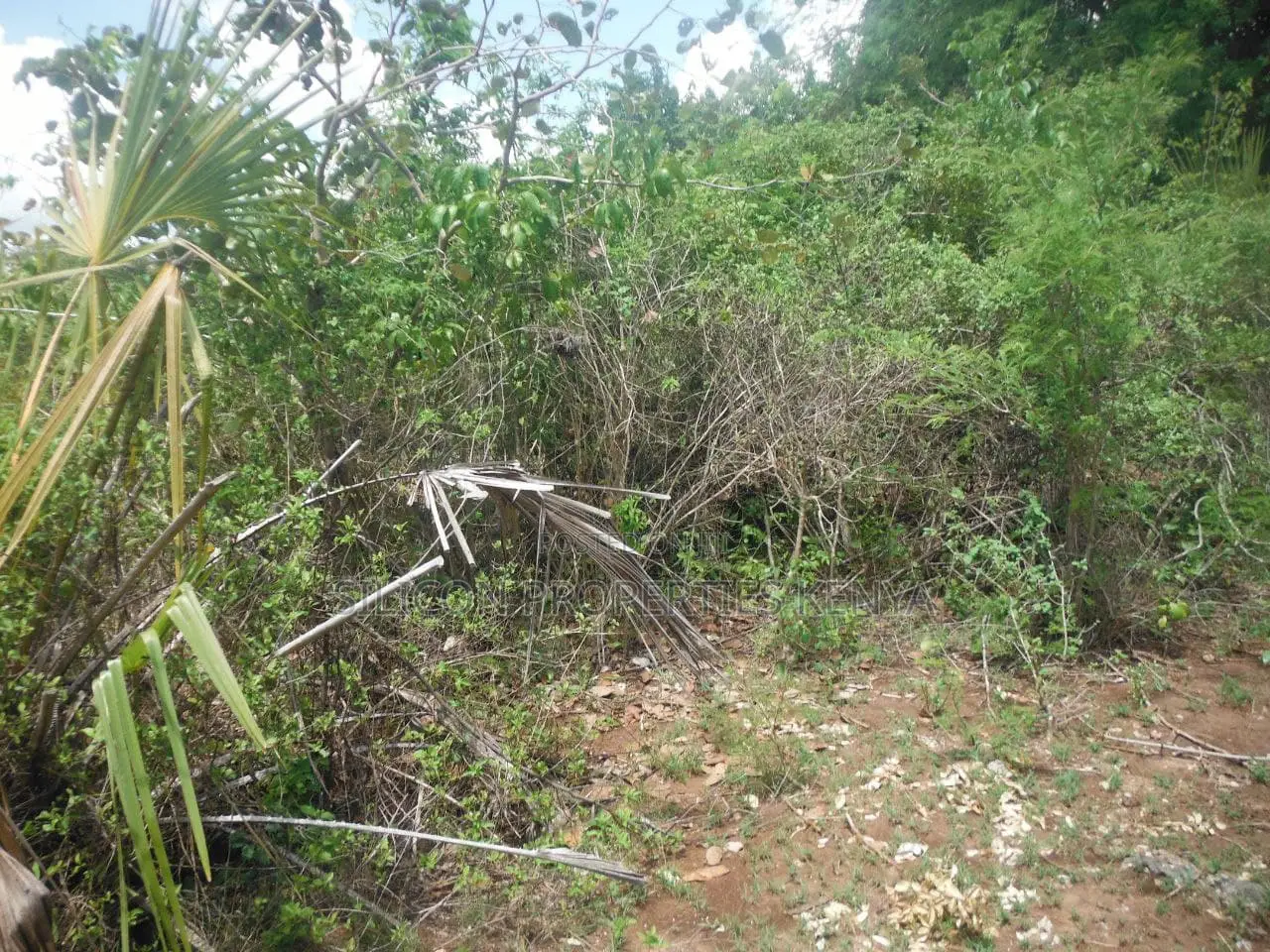 12 Acres for Sale in Msambweni