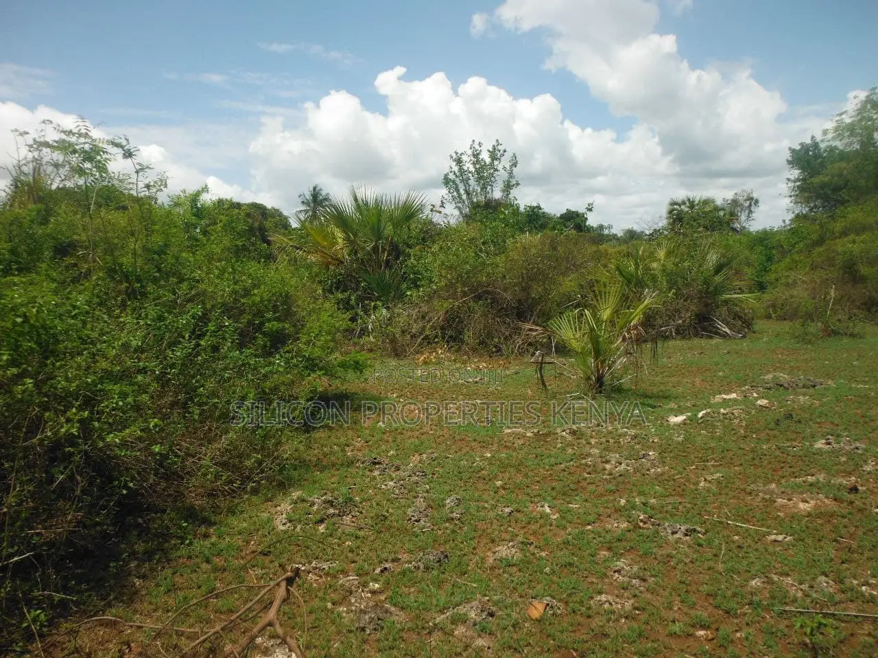 12 Acres for Sale in Msambweni