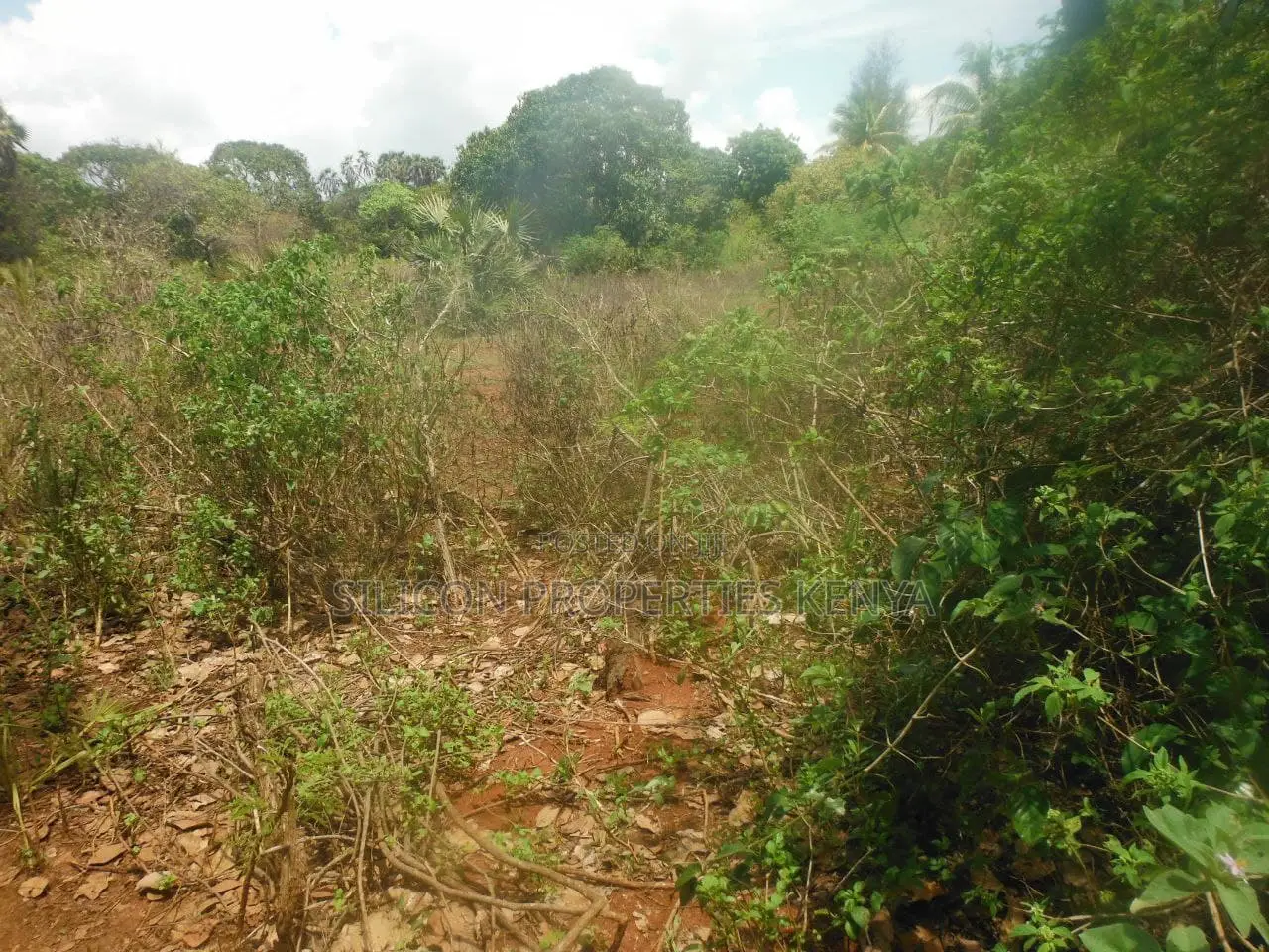 12 Acres for Sale in Msambweni