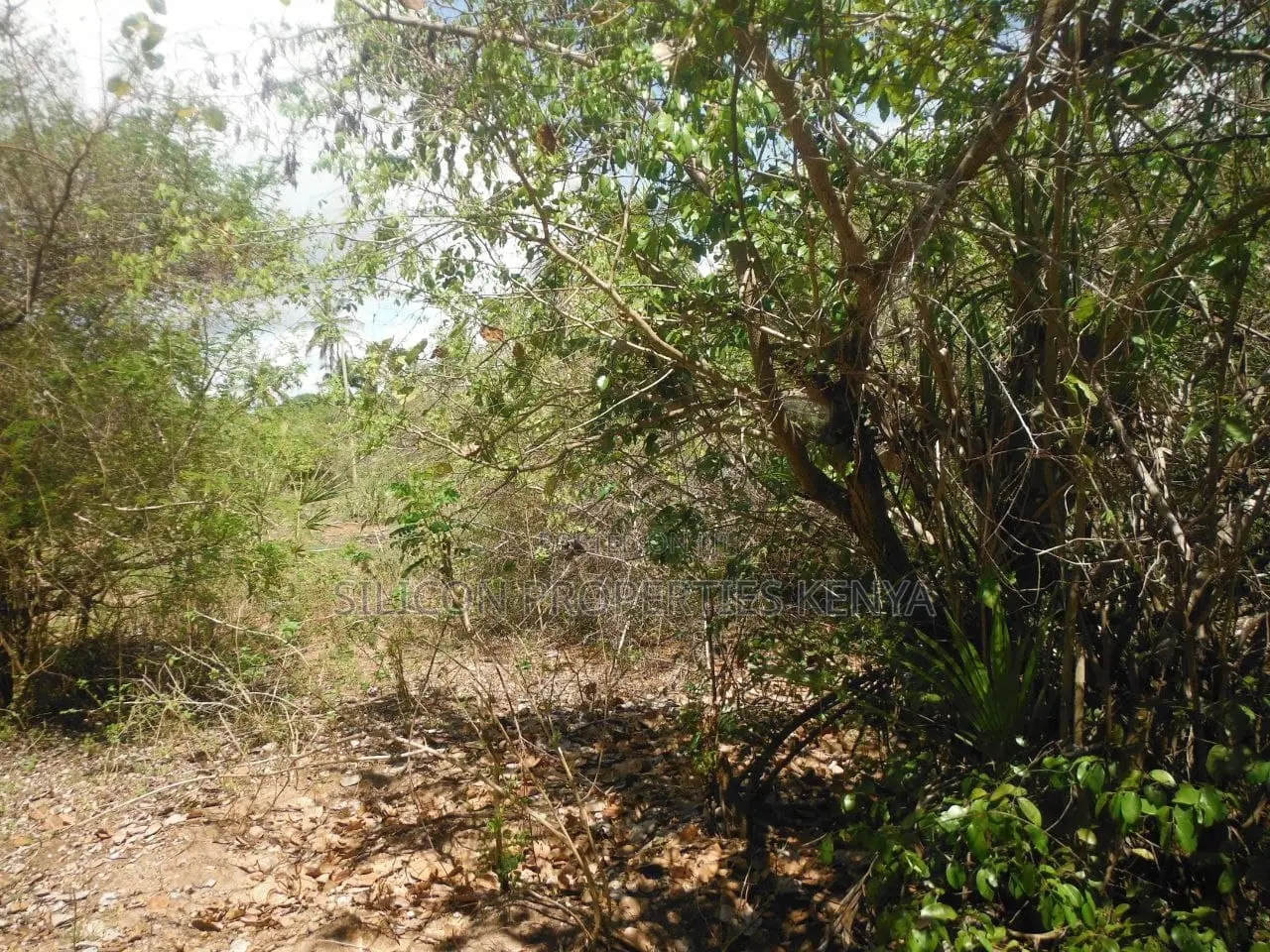 2-Acre Prime Plot in Ukunda Next to a High-Value Home