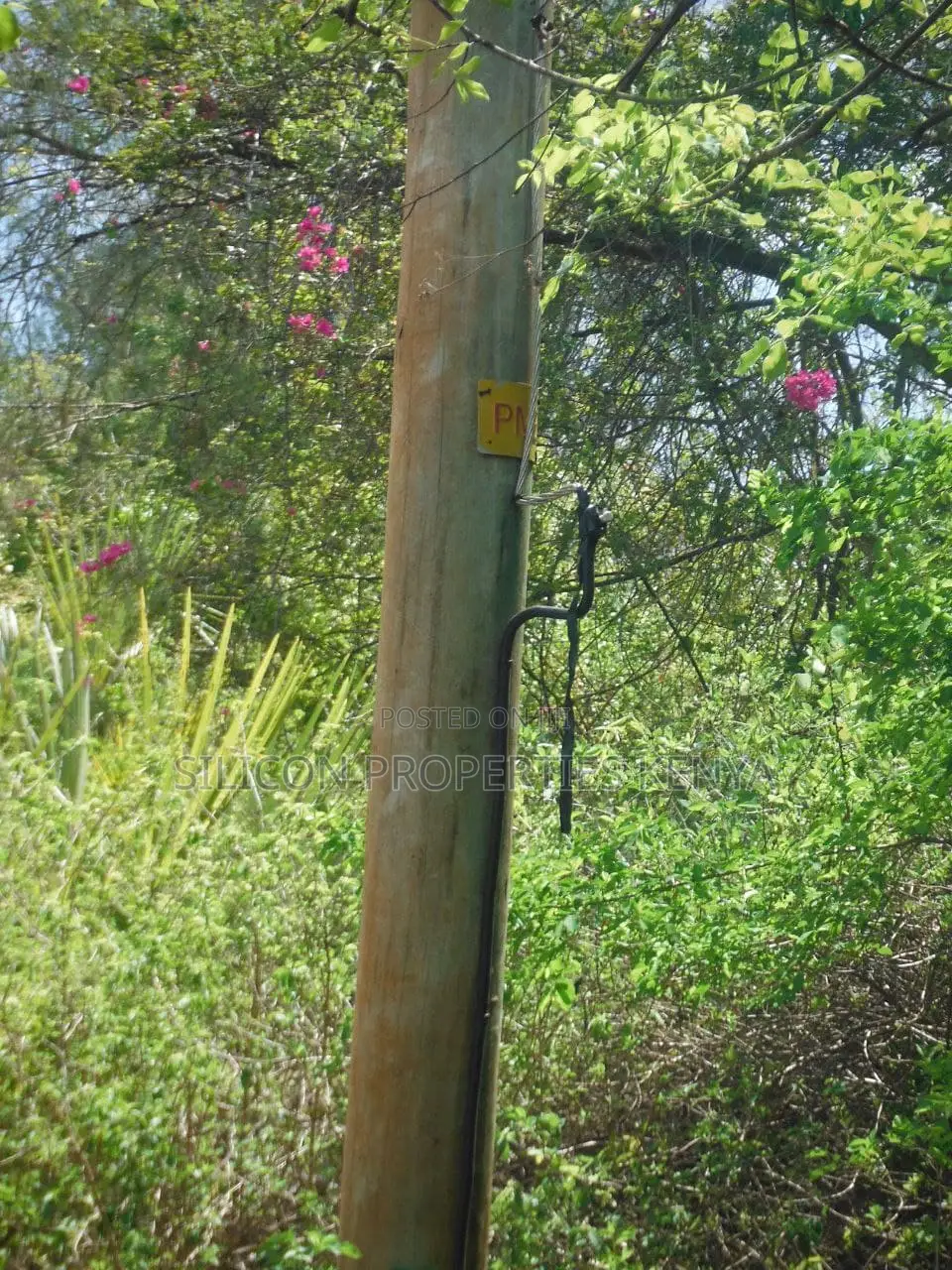 2-Acre Prime Plot in Ukunda Next to a High-Value Home