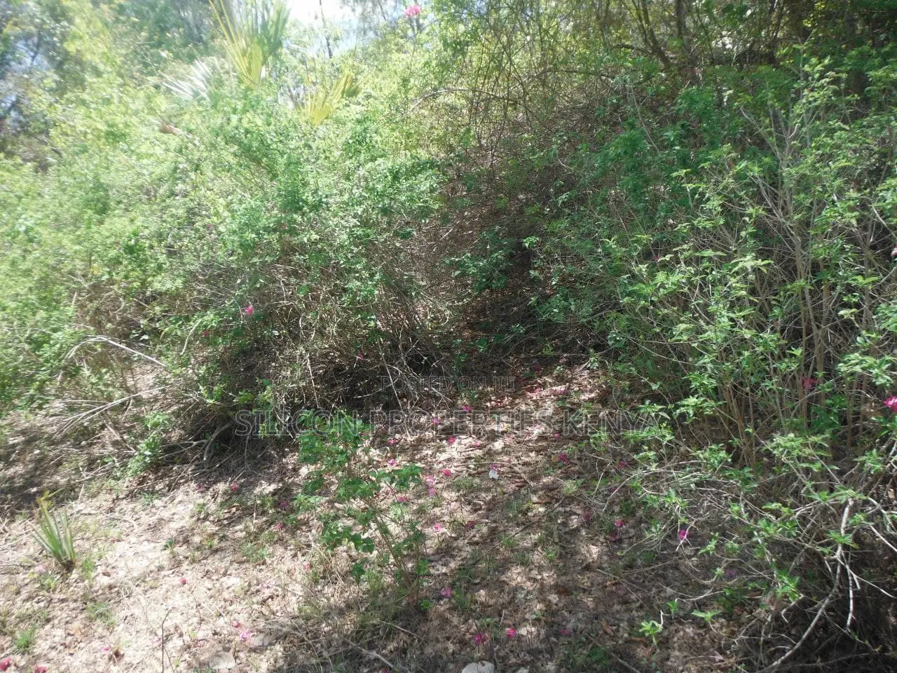 2-Acre Prime Plot in Ukunda Next to a High-Value Home