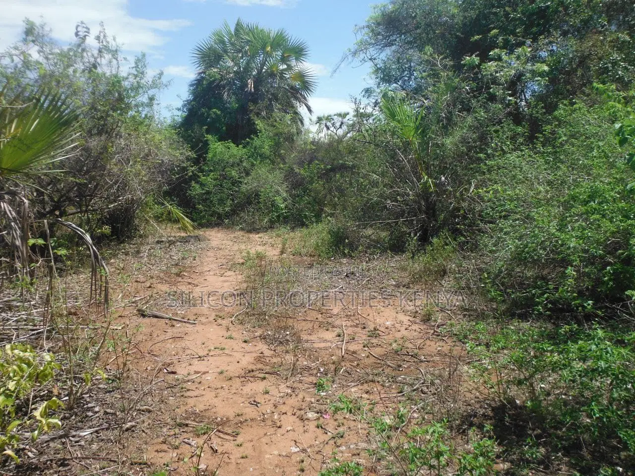2-Acre Prime Plot in Ukunda Next to a High-Value Home