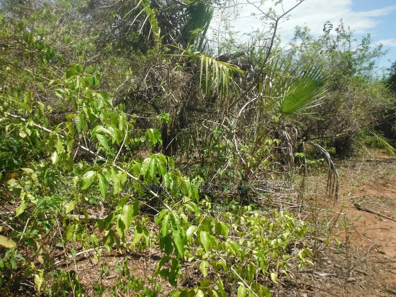 2-Acre Prime Plot in Ukunda Next to a High-Value Home