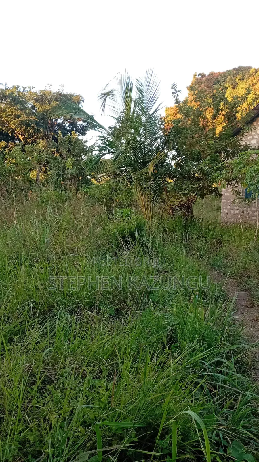 Nice 1/8 Acre Plot Only 1.3 Kilometre From the Lungalunga Highway Road