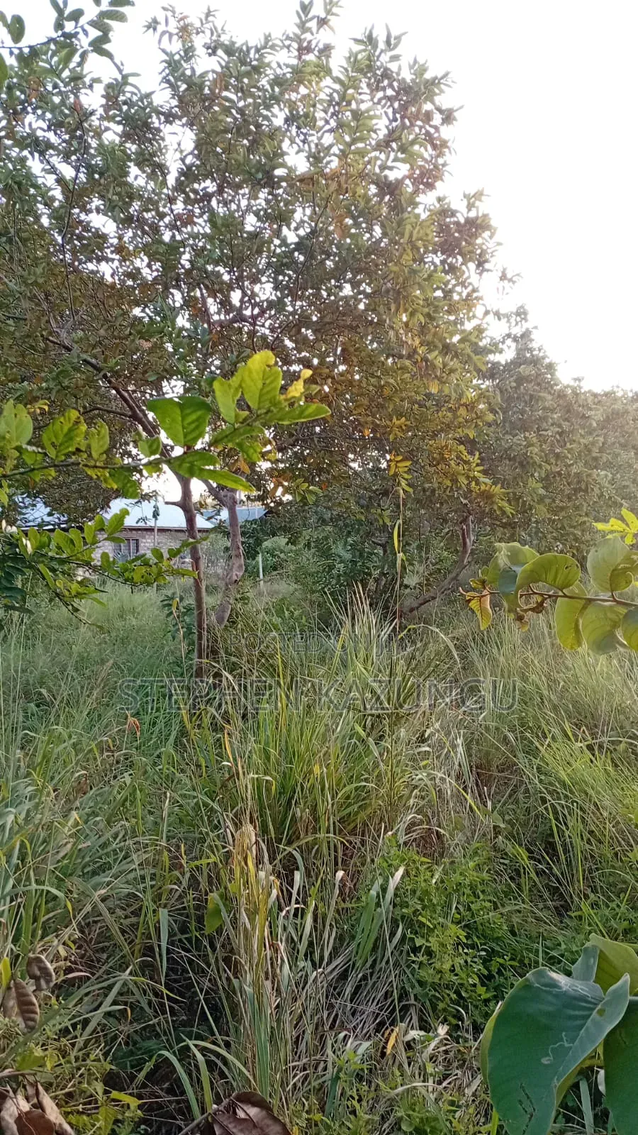 Nice 1/8 Acre Plot Only 1.3 Kilometre From the Lungalunga Highway Road