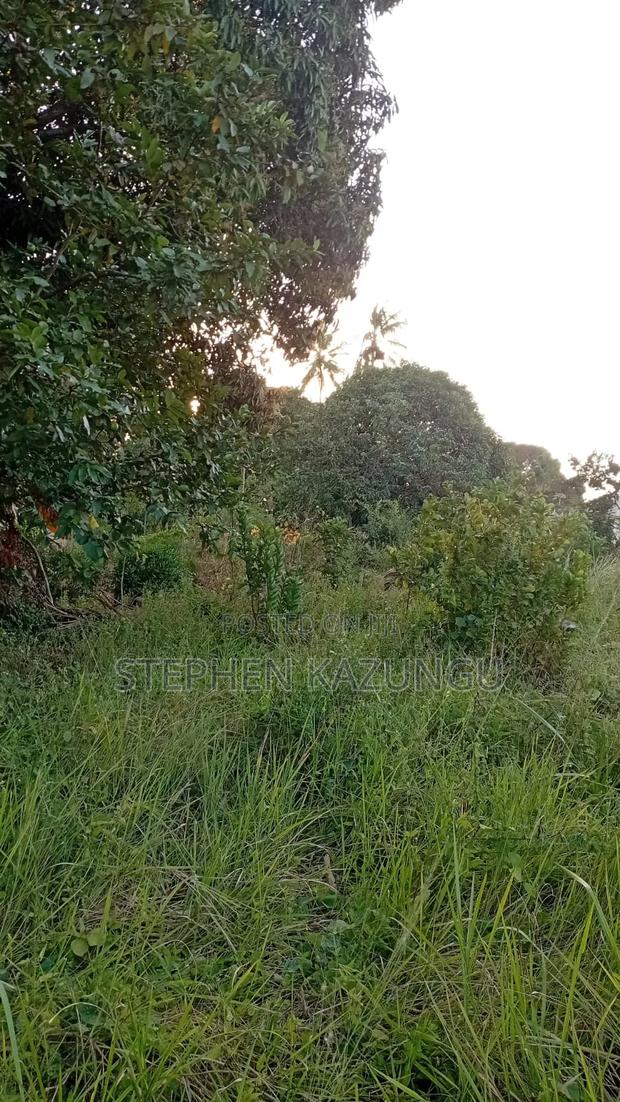 Nice 1/8 Acre Plot Only 1.3 Kilometre From the Lungalunga Highway Road - thumbnail 6