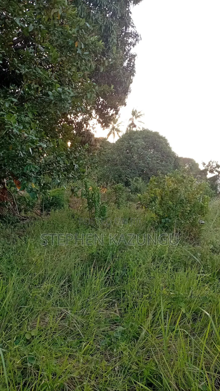 Nice 1/8 Acre Plot Only 1.3 Kilometre From the Lungalunga Highway Road