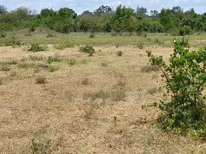 Own a Piece of Serene Land in Kidomaya, Kwale County