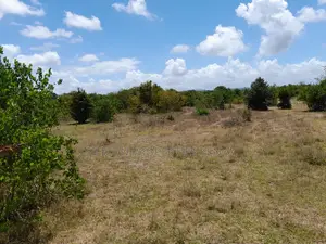 Own a Piece of Serene Land in Kidomaya, Kwale County