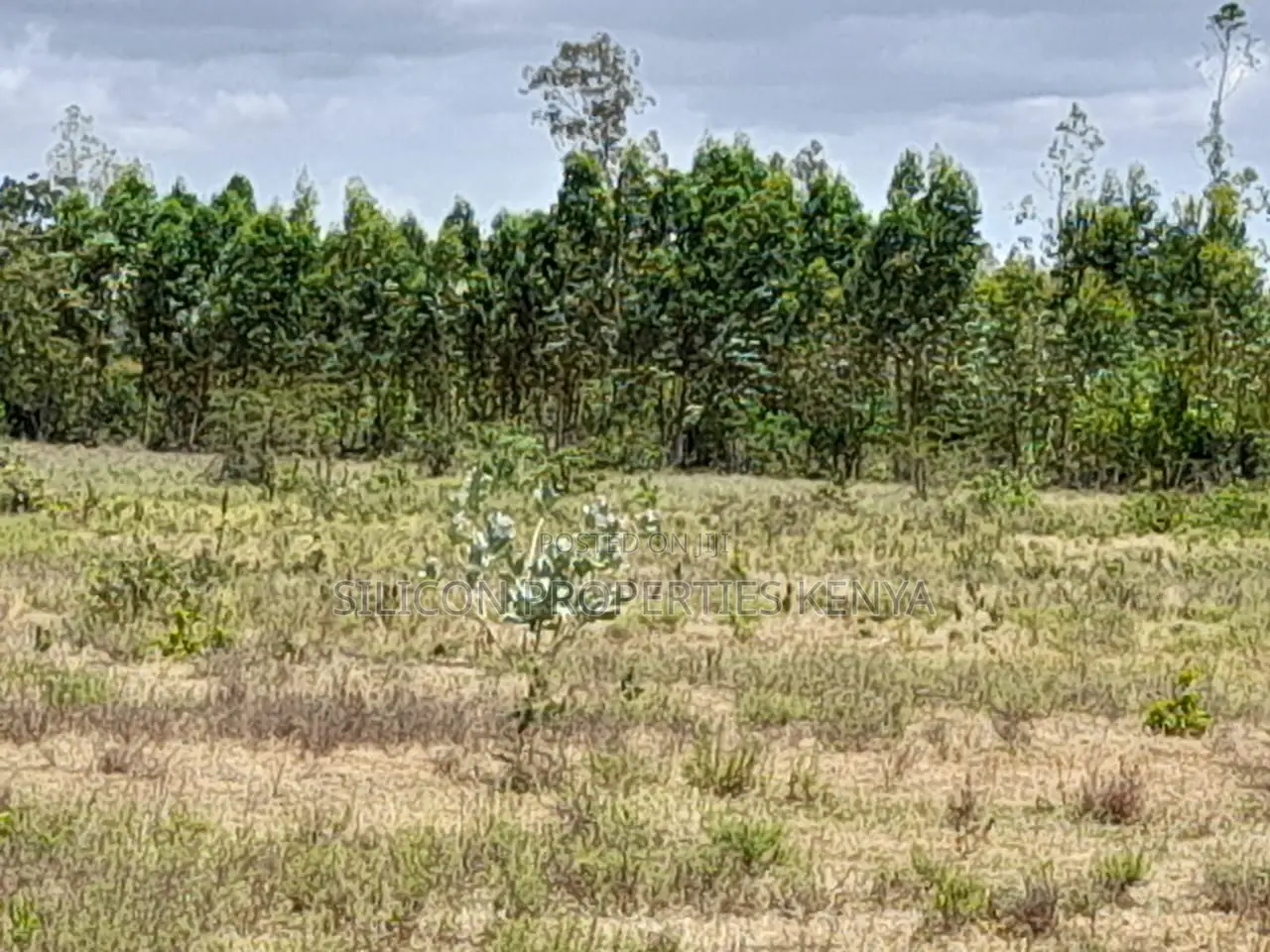Own a Piece of Serene Land in Kidomaya, Kwale County