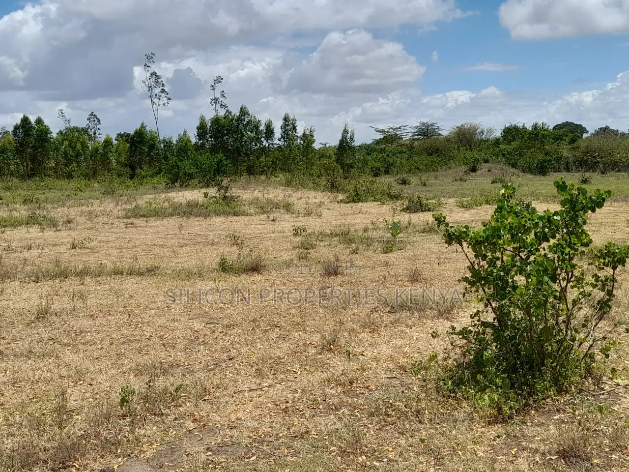 Own a Piece of Serene Land in Kidomaya, Kwale County