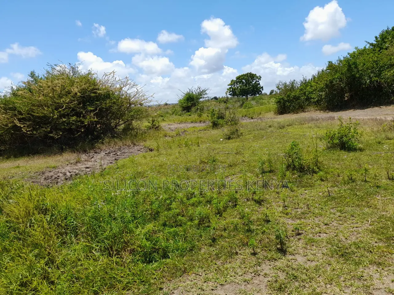Own a Piece of Serene Land in Kidomaya, Kwale County