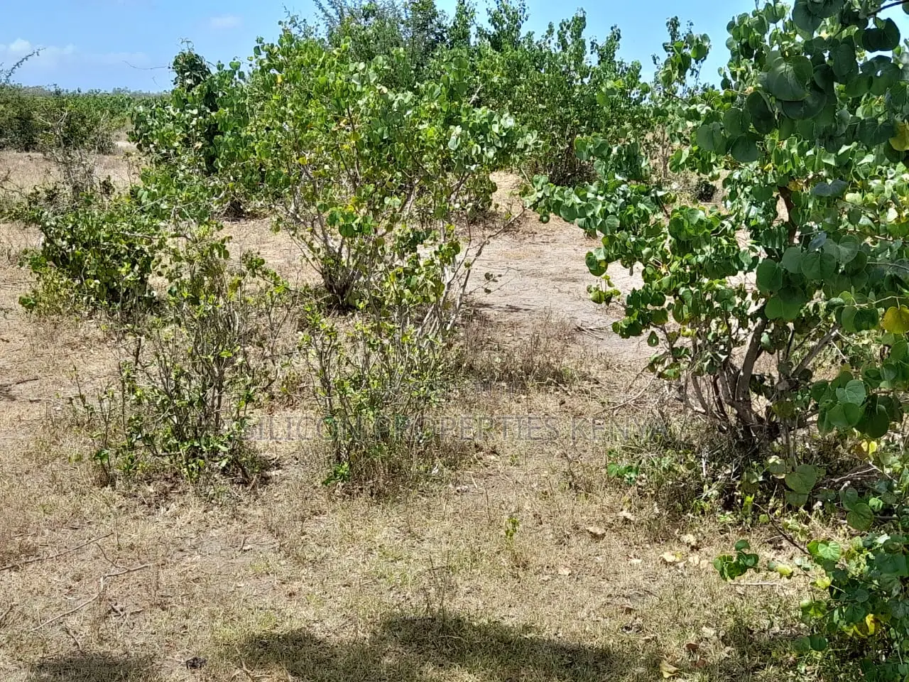Own a Piece of Serene Land in Kidomaya, Kwale County