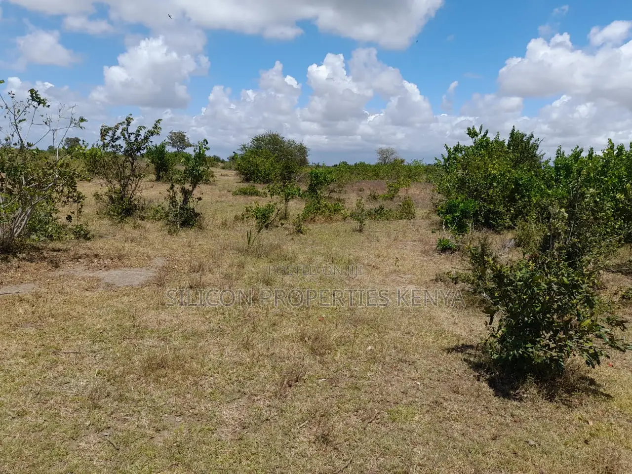 Own a Piece of Serene Land in Kidomaya, Kwale County