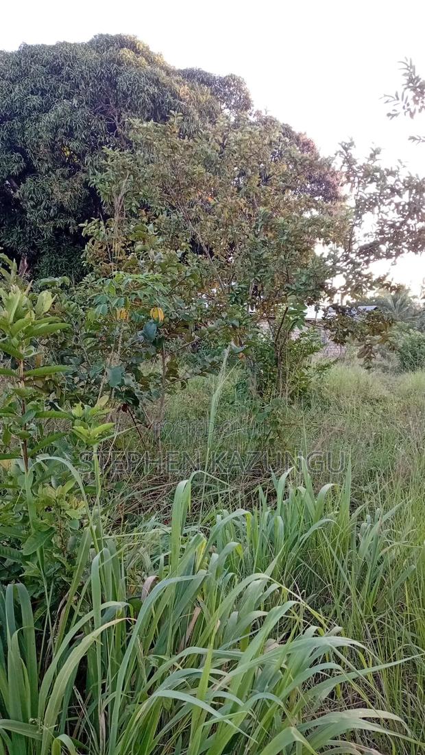 Nice 1/8 Acre Plot Only 1.3 Kilometre From the Lungalunga Highway Road - thumbnail 7